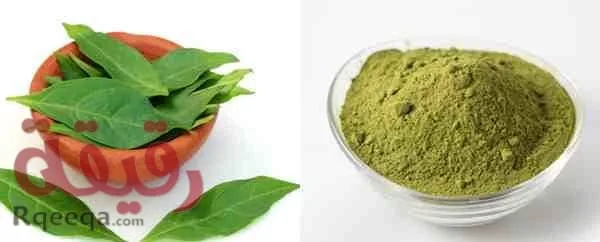 فوائد الحناء للشعر وطرق تحضيرها لتطويل الشعر benefits-of-henna-for-hair