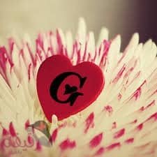 g (4)