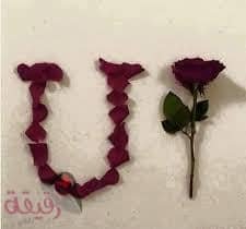 u (5)