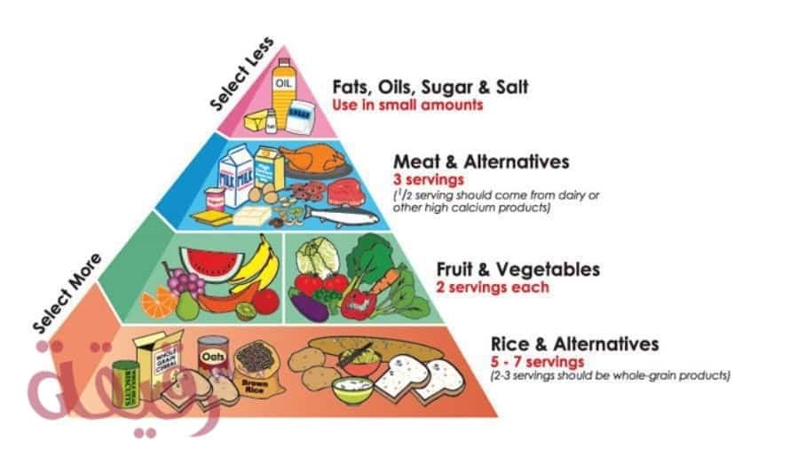 عللى وجود الدهون والسكريات فى قمة الهرم الغذائي