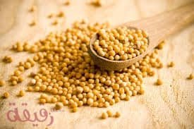 بذور الخردل