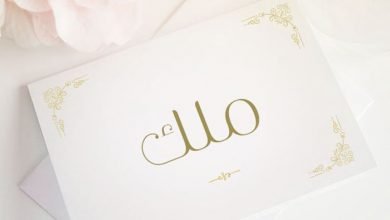 معنى اسم ملك