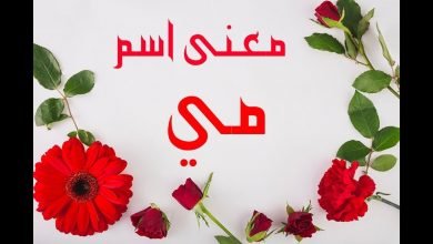 معنى اسم مي