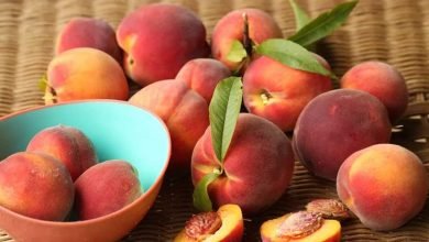 فوائد الخوخ للبشرة وأفضل وصفاته الطبيعية فوائد الخوخ للبشرة