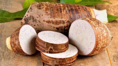 تفسير حلم القلقاس في المنام