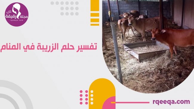 تفسير حلم الزريبة في المنام