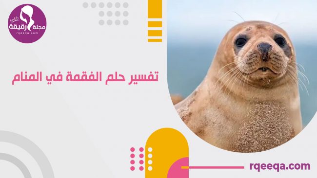 تفسير حلم الفقمة في المنام